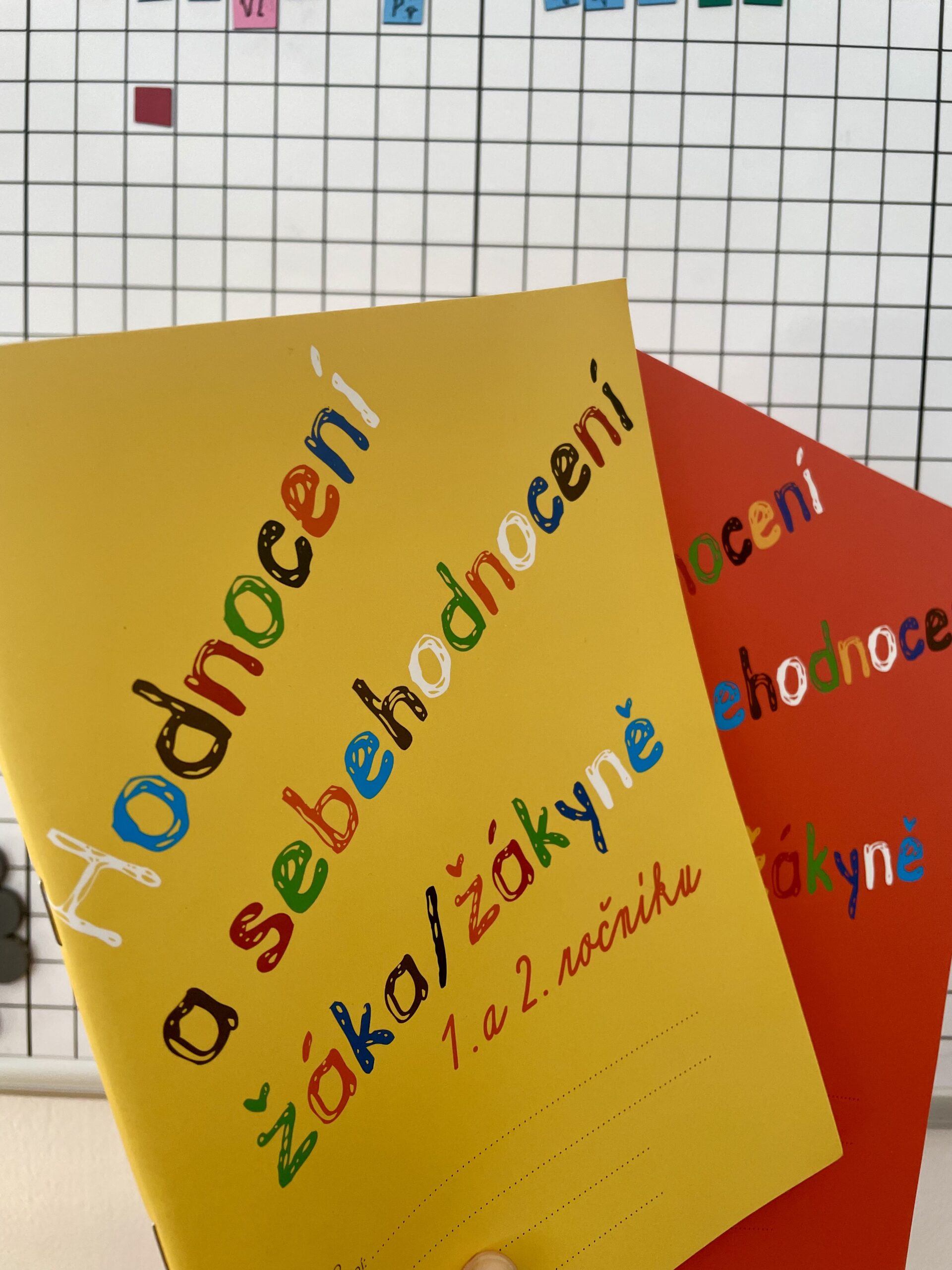 hodnoceni_ceska_inspekce_basic_zakladni_skola_materska_skola_1