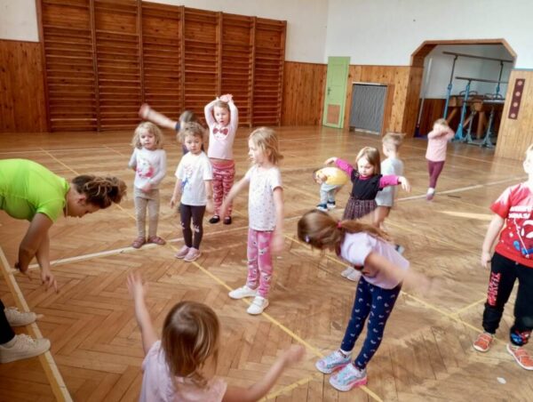 mateřská škola Basic Plzeň