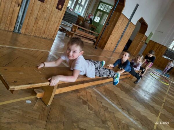 mateřská škola Basic Plzeň